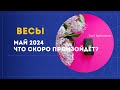    2024      tar ispirazione