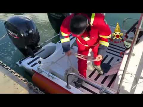Continuano le operazioni
