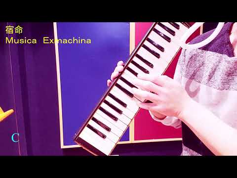 宿命 鍵盤ハーモニカ（初心者用） ドレミファ器楽 Keyboard harmonica