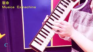 宿命 鍵盤ハーモニカ（初心者用） ドレミファ器楽 Keyboard harmonica