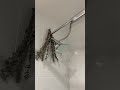 Surprise Your Partner With A Tandem Shower This Valentine S Boona Surprise Your Partner With A Tandem Shower This Valentine S Boona