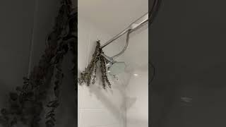 Download Lagu Surprise Your Partner with a Tandem Shower This Valentine’s! #boona MP3