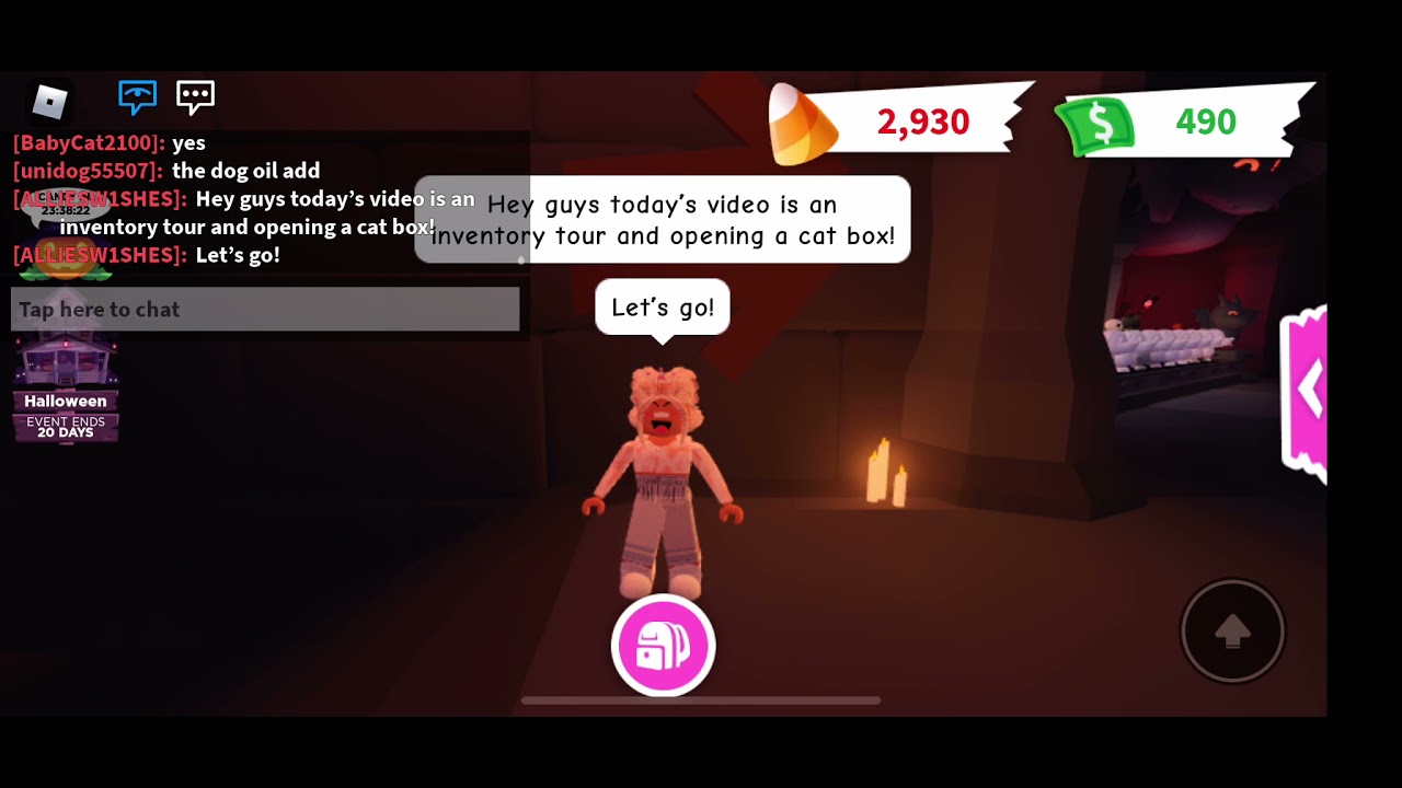 Inventory tour and opening a cat box! Adopt me! - YouTube
