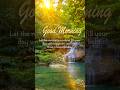 #GoodMorningVibes#SunshineInYourHeart#HappyDayAhead#MorningMotivation#PositiveEnergy#BeautifulDay