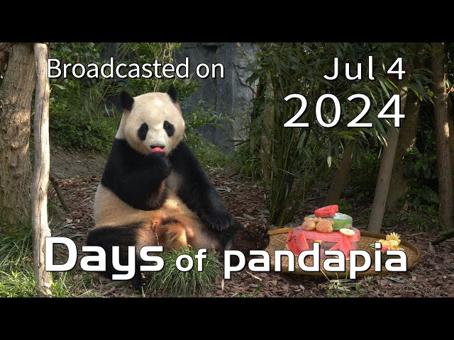 京劇パンダ 高畑勲と宮崎駿の「パンダコパンダ」2作品の中国語吹替版が2週間限定