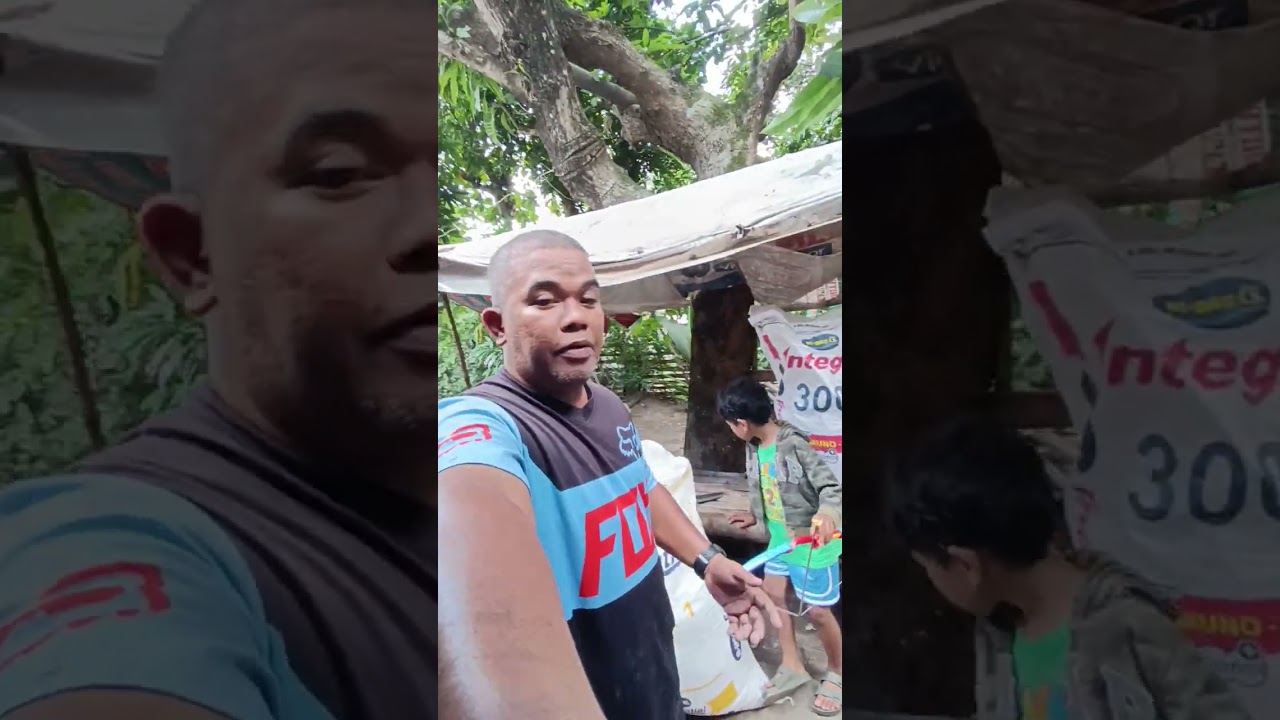 Bmeg Essential Feeds Layer 1