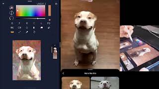 HEAVYPAINT LAYERS IOS RELEASED!  | HEAVYPAINT 204