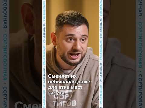 Шоколад исчезает. Какие ещё продукты под угрозой?