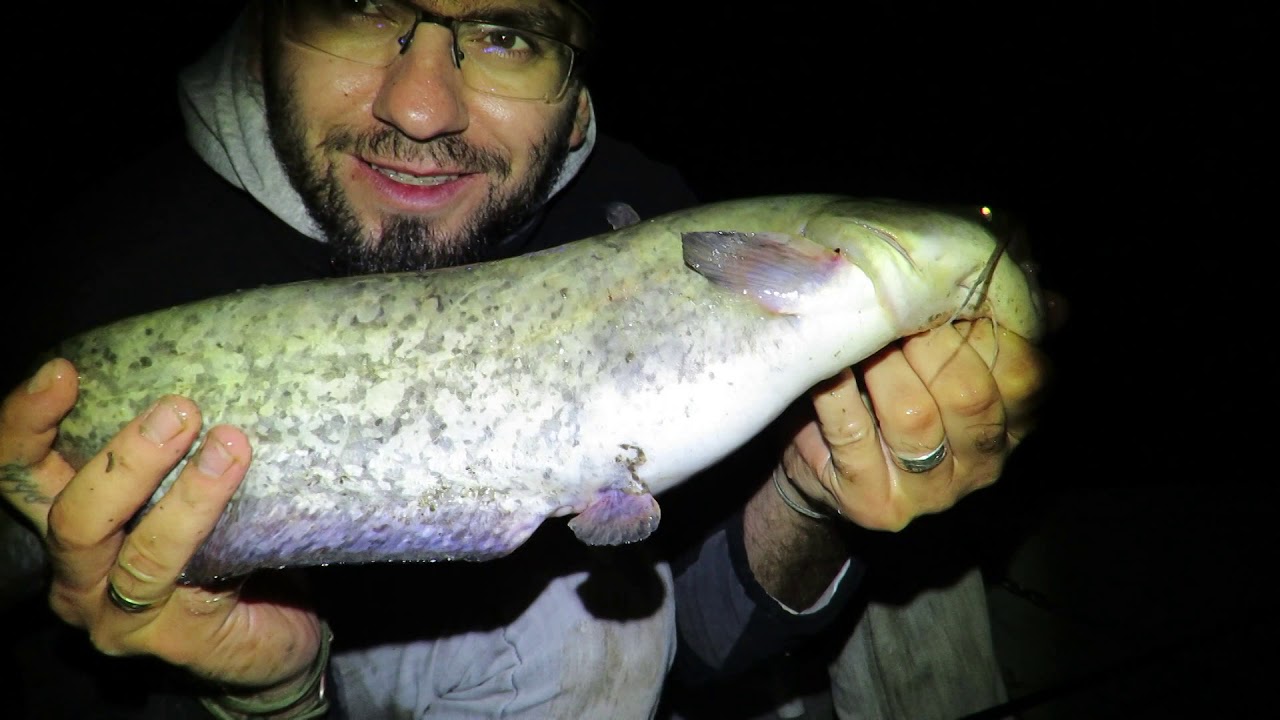 Pergetés Szalai Gáborral - 37. adás: Éjszakai Harcsapergetés (2019)