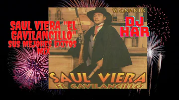 LOS EXITOS MAS CHINGONES DE SAUL VIERA EL GAVILANCILLO MIX DJ HAR!!