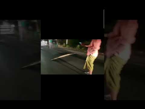 Python Spotted at Kochi's Seaport-Airport Road, Traffic Stopped to Let It Pass