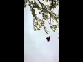 Rescate en el Macizo del Aizkorri