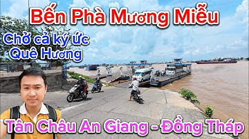 Phà Mương Miễu Góc Nhỏ Gợi Nhớ Cả Tuổi Thơ Miền Tây, chở cả ký ức quê hương Tân Châu An Giang
