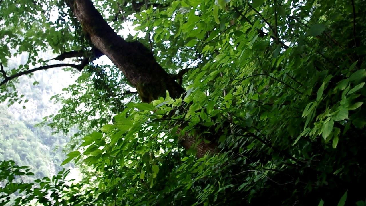 гегский водопад. неизвестная тропа - YouTube