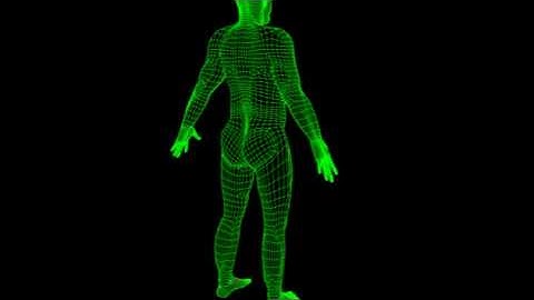 Final Year model - Wireframe 2