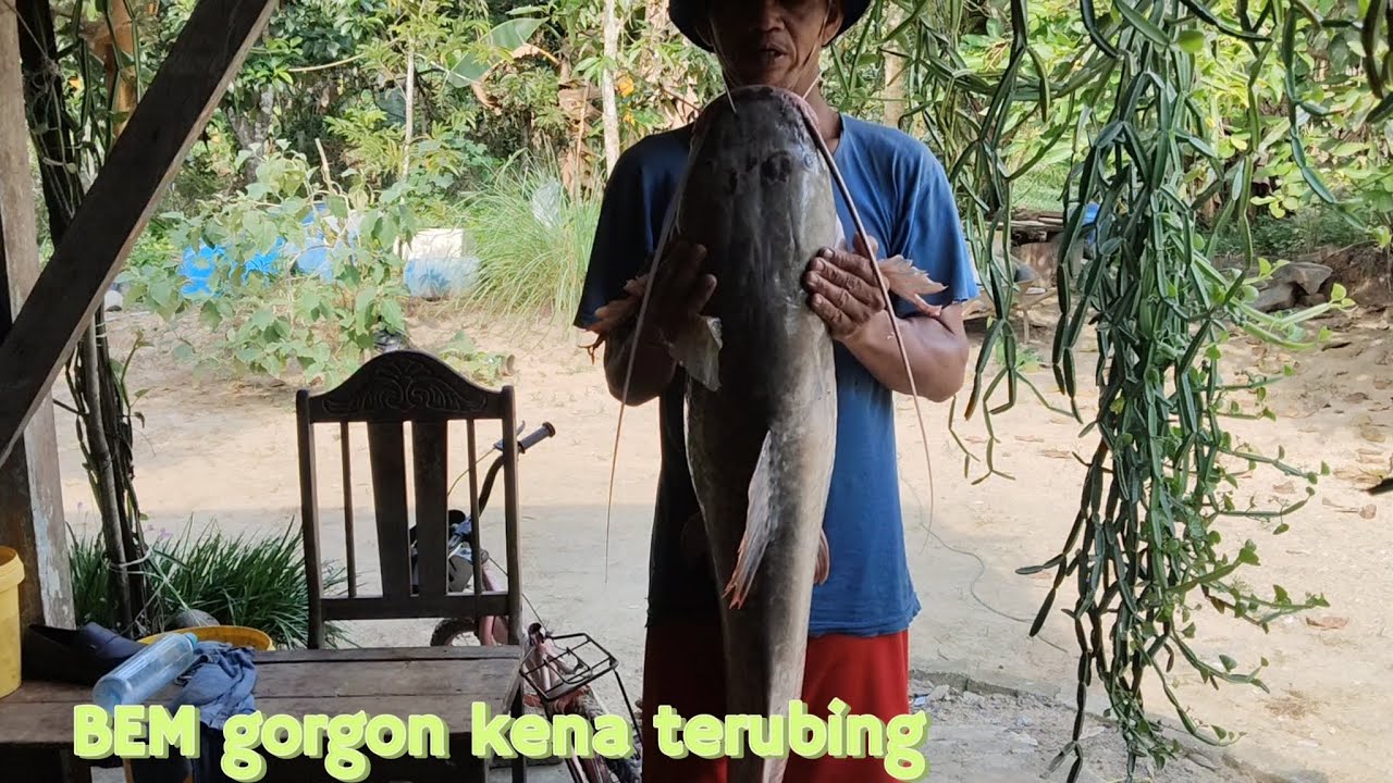 Rezeki BEM gorgon kena terubing 😅😅