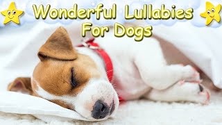 Sleep Music For Your Dog and Puppy ♫ Relax Your Dog Effectively ♥ Lullaby For Dogs