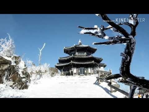 노사연바램 피아노