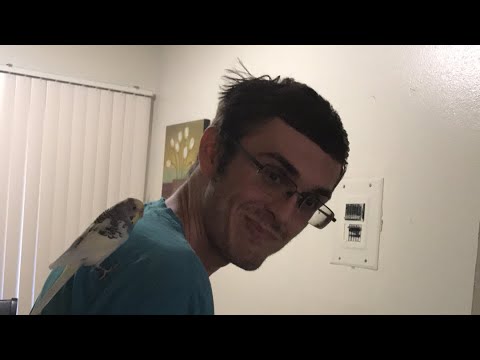 camera iphone 8 plus apk CHAOS!!