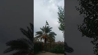 Download Lagu Pakistan win the match Haris rauf 5 wickets August 23, 2023 MP3