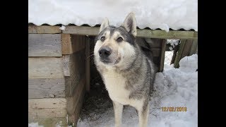 Приехали с Тайной/Соболь ты дома/