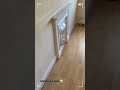 🏗️5 Weeks of Renovation Changes #beforeandafter! #homerenovation #diy