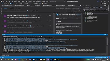 .Net Core 5.0 Web Api CRUD Video 2 With Entity framework