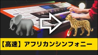【チーター級?】アフリカンシンフォニーをちょっぴり速くエレクトーンで弾いてみた