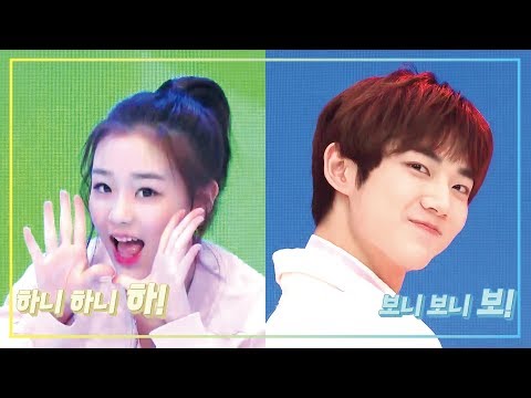 15대 보니하니(안형섭, 김채연) 오프닝 무대 교차편집