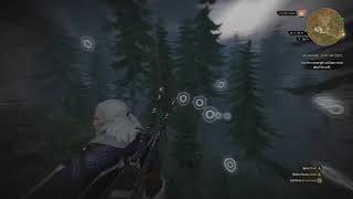 The Witcher 3: Wild Hunt on Xbox One S - danger lurks everywhere in the forest of Kaer Morhen