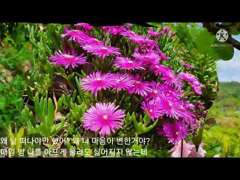 김기태ㅡ사랑하고 싶어(왁 스 원곡)
