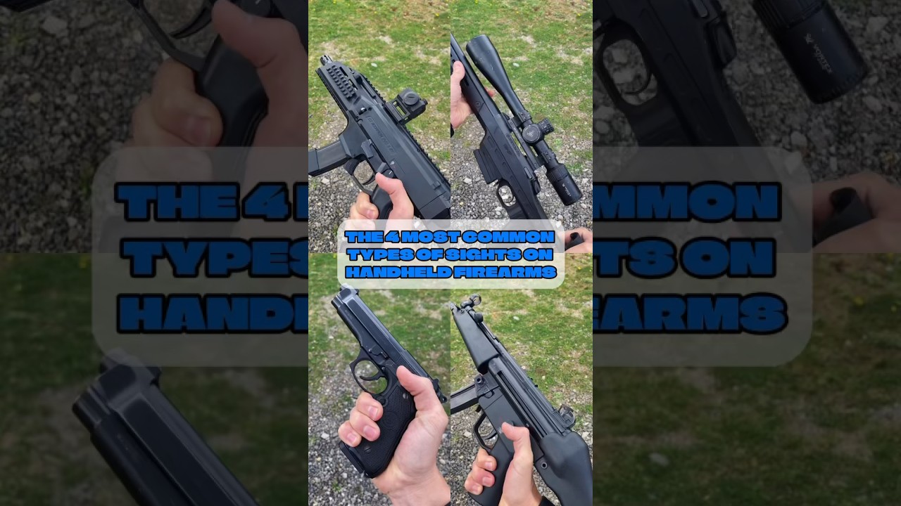 Types of Sights for Small Arms. 