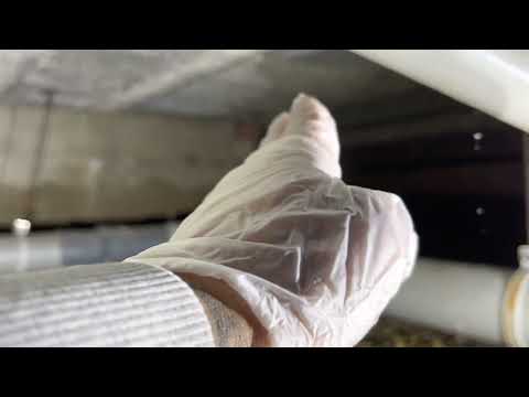 crawl space inspection for expats working in Eindhoven, the Netherlands. In English (sort of ??)