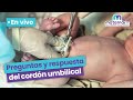 EN VIVO: Conoce los cuidados y resuelve las dudas que tengas sobre el cordón umbilical | Maternar.co