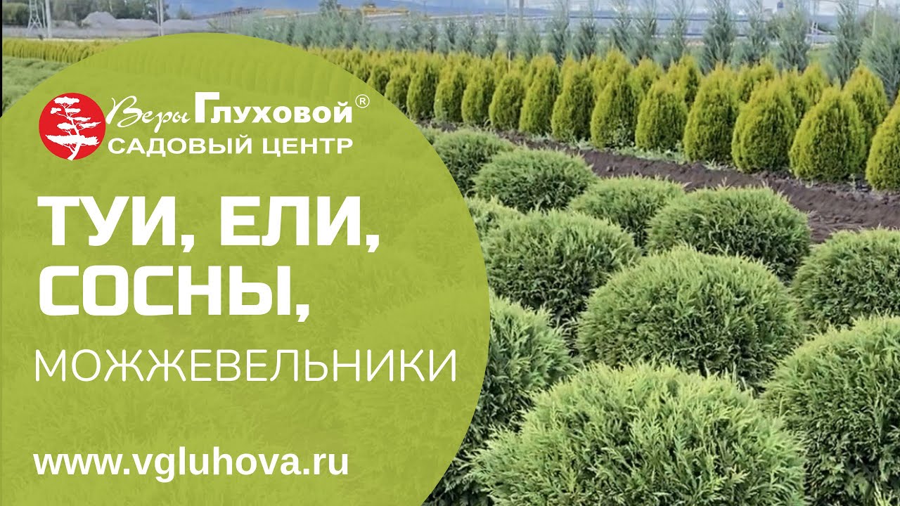 СОБСТВЕННОГО ПРОИЗВОДСТВА - YouTube