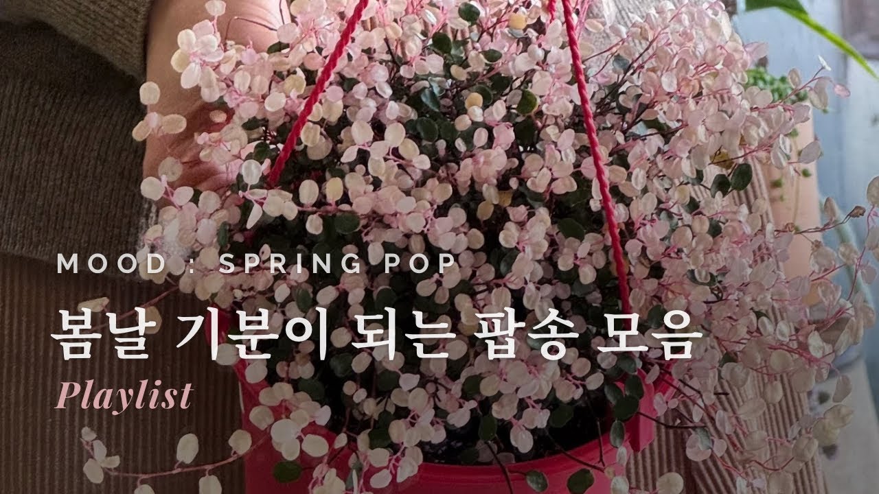 Watch 봄 팝 플레이리스트 🌸 산뜻한 봄 감성 팝 | spring pop playlist on YouTube Watch 봄 팝 플레이리스트 🌸 산뜻한 봄 감성 팝 | spring pop playlist on YouTube