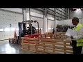 Forklift Test in Arabic امتحان سياقة  الرافعة الشوكية