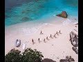 Wild Seychelles / Дикие Сейшелы (2020)