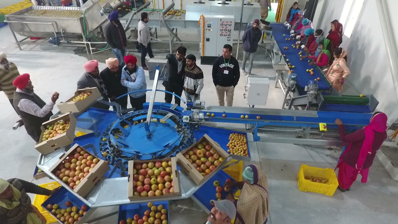 Round Fruit & Vegetable Washing, Drying and Grading Line