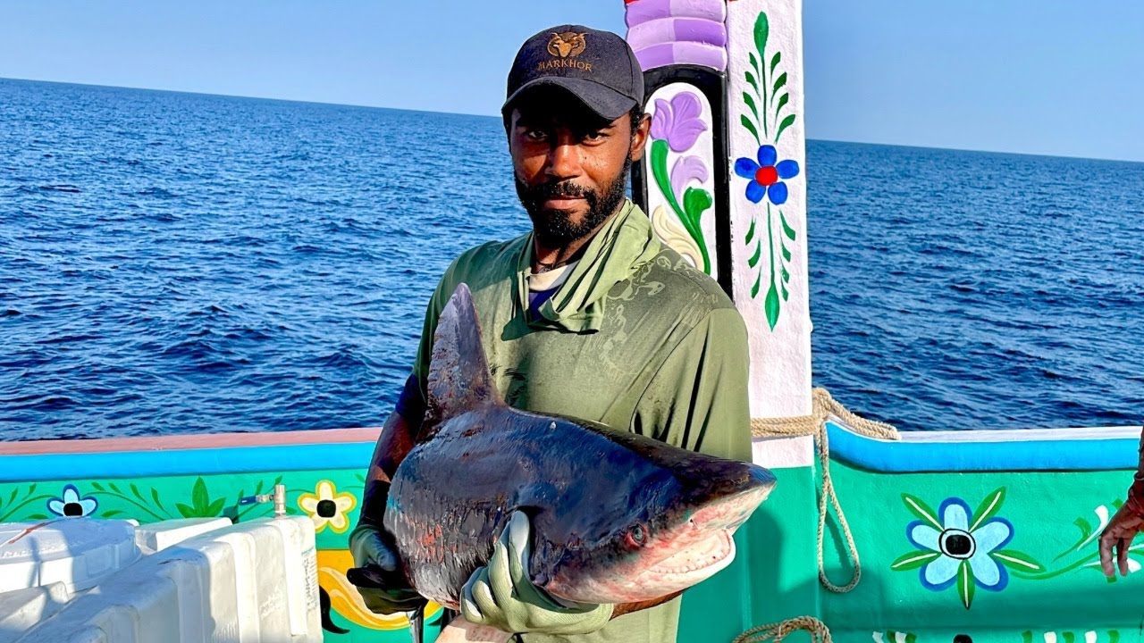 My Day at Sea | Catching Shark 🦈 & Tons of Tuna Fish 🐟Deep Sea Fishermen 🌊