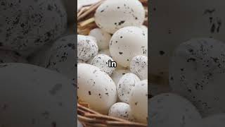 Do Turkeys Really Lay Eggs? 🦃 Find Out the Surprising Truth! How Often Does Turkeys Lay Eggs