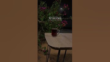 وعسى أن تكرهو شيئا وهو خير لكم        #القرآن #تلاوة #تلاوات #القرآن_الكريم #القرأن #الحمدلله