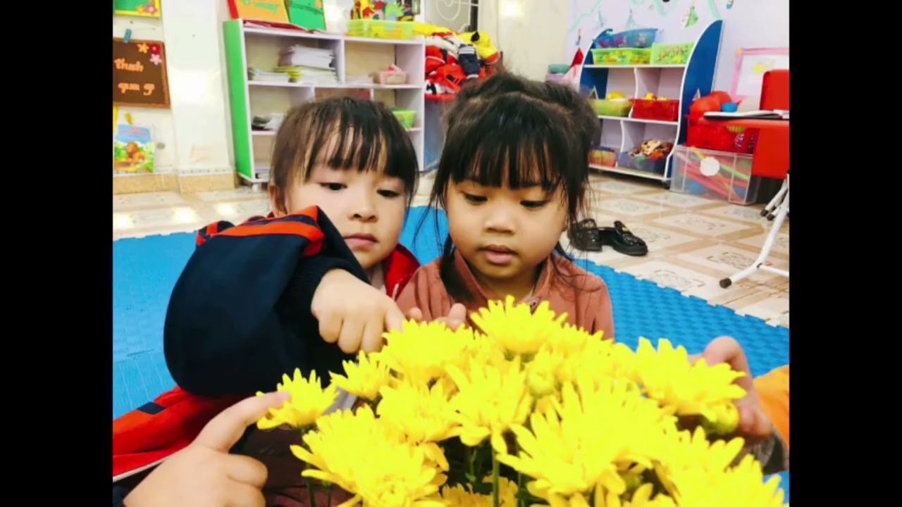 MỘT SỐ LOẠI HOA MÙA XUÂN- CÔ NGUYỄN THỊ HỒNG