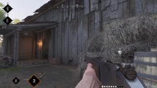Hunt Showdown: Gun clipping through wall bug