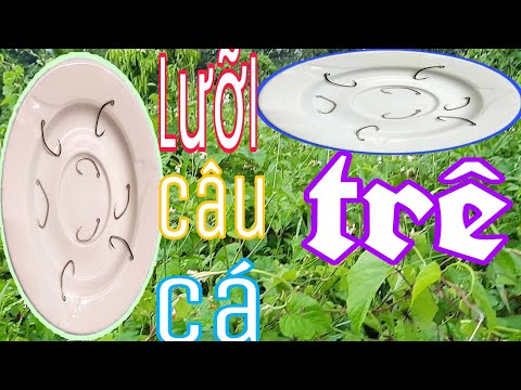 Video Nói Về Lưỡi Câu Cá Trê | Phao Bắp Câu Cá - youtube