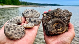 We Found a Treasure Trove of Petoskey Stones and HUGE 360 Million Year Old Gastropods!