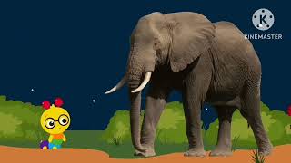 Neighborhood Animals 2004 Dvd Sanyo Tv 1995 Old House