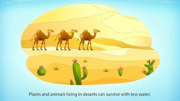 NCERT Class 7 English An Alien Hand | Chapter 3: The Desert