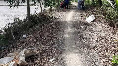 Bán 10 công ruộng xã Hậu Mỹ Trinh, Cái Bè