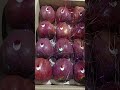kinnur apple gift pack hand pack fresh Apple